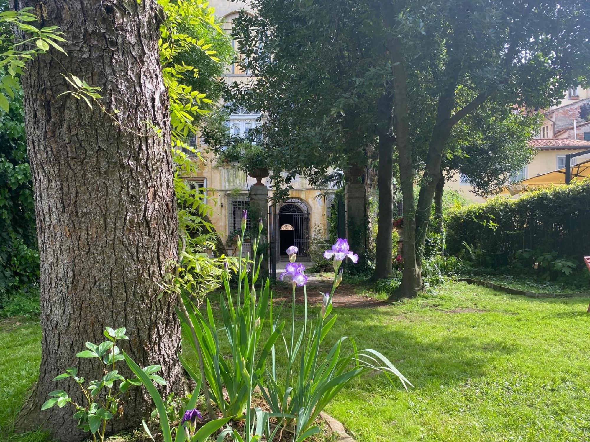 Corte Meraviglia - Relais ルッカ エクステリア 写真